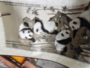 老秀館蜀錦絲綢卷軸掛畫(huà)裝飾畫(huà)中國風(fēng)特色禮物送老外公司商務(wù)禮品送客戶(hù) 步步高升 曬單實(shí)拍圖