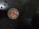 托托貼貼珍珠蚌自己開(kāi)蚌取珍珠淡水活蚌殼河蚌多珠單珠鮮活珍珠貝活體SN43 2個(gè)珍珠蚌 自己動(dòng)手開(kāi) 小精靈高產(chǎn)量 曬單實(shí)拍圖