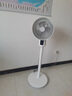 艾美特24檔直流變頻空氣循環(huán)扇家用輕音節(jié)能換氣電風(fēng)扇3D自動搖頭四季通用落地扇換氣降濁電扇FA23-RD76 FA18-RD48 曬單實(shí)拍圖