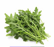 桃李村【順豐】新鮮芝麻菜 火箭菜 西餐蔬菜 沙拉菜 生菜 500g 曬單實拍圖