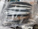 七冰東秋刀魚 深海魚燒烤食材新鮮秋刀魚超大規(guī)格冷凍海鮮水產(chǎn)生鮮 魚類 秋刀魚5斤裝 2號(hào)秋刀 曬單實(shí)拍圖