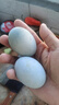 河南特產(chǎn)松花皮蛋65g無(wú)鉛工藝砂心大蛋實(shí)心整箱批發(fā)鴨蛋 4枚 曬單實(shí)拍圖