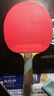 729鬼斧鬼釜802顆粒膠乒乓球拍膠皮正膠套膠友誼快攻型兵乓球拍膠皮 802 35度1.7 紅色 曬單實(shí)拍圖