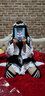赫搏 2021女仆裝cosplay可愛(ài)蘿莉塔cos日系動(dòng)漫男連衣裙餐廳咖啡廳工作服長(cháng)裙黑白女傭裝 服裝(頭s飾+裙子+圍裙+領(lǐng)結+白花)  XL （115斤左右） 曬單實(shí)拍圖