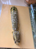 海蘊極鮮【活鮮】鮮活富貴蝦 新鮮泰國進(jìn)口巨型皮皮蝦活蝦燒烤食材 1000g（4-6只）吃肉款 曬單實(shí)拍圖
