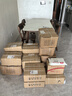【贈汗青堂徽章3枚/手提袋等】汗青堂叢書全套148冊 棉花帝國 被統(tǒng)治的藝術(shù) 五四運動史等已更新到汗青堂149 世界史中國史歐洲史 后浪正版 曬單實拍圖