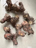 澤鮮達潮汕南姜新鮮野生山姜 高良姜生姜頭火鍋鹵味去膻提味調料南姜 1斤 優(yōu)選裝 曬單實(shí)拍圖