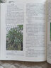 中國農業(yè)大學(xué)出版社 園林花卉學(xué)/楊利平 曬單實(shí)拍圖