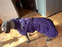 TRUELOVE狗狗衣服棉衣冬裝加厚加絨秋冬季保暖小中大型犬金毛棉服寵物用品 紫色 背長(cháng)70cm 曬單實(shí)拍圖