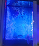 可麗愛D系大型底濾靠墻/屏風(fēng)超白魚缸水族箱實(shí)時(shí)溫顯可變光2025年新款 白色 DC1D/DC1G （遙控+魚馬桶） 1000*400*1500mm靠墻款 曬單實(shí)拍圖