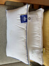 TRIUMPHHILL  五星級酒店鵝絨羽絨抱枕方枕芯頭靠墊沙發(fā)靠枕大抱枕鵝絨毛靠背 80cm*80cm 含枕芯 不含套 一個(gè)價(jià) 曬單實(shí)拍圖