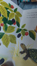 英文原版 Richard Scarry 系列 斯凱瑞 兒童啟蒙閱讀繪本 I Am a Bunny系列 早教啟蒙紙板書 I am a Mouse 我是一只老鼠 曬單實(shí)拍圖