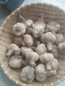 儲褚【有機】大蒜 烹飪有機調味食材生鮮蔬菜 精選2025新干蒜頭多瓣蒜 有機大蒜 1080g 【居家常備】 曬單實(shí)拍圖