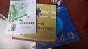 【官方正版】一只特立獨行的豬 王小波中國傳統(tǒng)剪布繡漢畫風(fēng)5-8歲兒童啟蒙故事繪本圖畫書籍  山東省幼兒園圖畫書推薦閱讀書目 接力出版社 曬單實拍圖