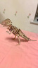 齊峰3d立體拼圖積木玩具擺件恐龍模型木質(zhì)兒童成人拼插動(dòng)物diy禮物 恐龍10款 曬單實(shí)拍圖