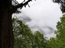 迪卡儂露營(yíng)帳篷戶(hù)外野營(yíng)加厚防雨野外防曬遮光2758192 曬單實(shí)拍圖