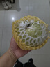 甘坡現(xiàn)摘精挑送禮精品大果白心芭樂孕婦番石榴水果新鮮順豐10斤裝含箱 精挑大果6斤含箱 曬單實拍圖