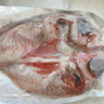 海樸紅石斑魚深海魚大眼富貴魚深海魚海鮮水產(chǎn) 曬單實拍圖