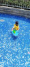 INTEX儿童救生衣浮力背心宝宝充气救生衣游泳装备泳圈水上浮衣59661 实拍图