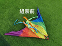 七彩鳳凰風箏2023年新款網(wǎng)紅成人濰坊兒童專用微風易飛高端風爭 鳳凰展翅【僅風箏】 曬單實拍圖