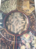 家の物语（KATEI STORY）日本进口分格干果盘过年干果盒零食坚果客厅水果盘糖果盒带盖瓜子 果盘干果盘 圆形7格【1个装】 实拍图