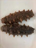味名甄大連即食海參鮮燉鮮食遼參海參禮盒裝高品質(zhì)  無(wú)污染 1000g（16-20只）經(jīng)典裝 曬單實(shí)拍圖