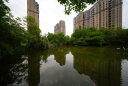 老蛙10mm F2.8 自动对焦镜头全画幅超广角大光圈AF建筑手动风景E卡口Z卡口 自动镜头 索尼微单FE卡口-强星芒版 晒单实拍图