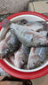 赤尾青蝦粉餌料免凍脫鹽野釣羅非魚(yú)鮮腥誘食劑黑坑鯽魚(yú)散炮窩料 1斤【脫鹽免冰赤尾青】爆護餌 曬單實(shí)拍圖