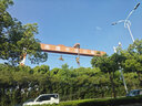 回力本命年短袖t恤男女同款純棉半袖衣服夏季情侶款蛇年轉(zhuǎn)運(yùn)國潮體恤 紅色(金蛇舞獅胸標(biāo)) 3XL (建議180斤-205斤左右) 曬單實(shí)拍圖
