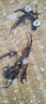黃骨魚(yú)苗活體淡水養殖食用鮮活魚(yú)黃丫頭黃鴨叫昂刺魚(yú)黃顙魚(yú)冷水觀(guān)賞魚(yú)黃辣丁魚(yú)苗批發(fā) 20條5-7厘米黃骨魚(yú)苗(多發(fā)10%防損) 曬單實(shí)拍圖