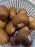 佳沛（zespri）新西蘭  陽(yáng)光金果10粒巨大果單果約144-175g 中秋水果禮盒 獼猴桃 曬單實(shí)拍圖