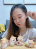 締晶可愛(ài)柴犬狗狗擺件公仔生日禮物送女友辦公室桌面裝飾擺件工藝品 招財小柴犬（小號4只裝） 曬單實(shí)拍圖