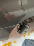 菲罗多（ferodo）陶瓷刹车片前片适用于日产13款之前天籁骐达颐达1.6轩逸FDB1692-D 实拍图