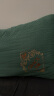 洁丽雅（Grace）纤维枕 星级酒店枕头枕芯 46*72cm 一对装（2只装） 实拍图