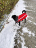 楚克奇（CHUKCHI）狗狗衣服秋冬裝中型犬大型犬柯基大狗寵物服裝兩腳衣反光沖鋒衣 紅 2XL【建議17-24斤左右】 曬單實拍圖