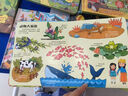 揭秘翻翻書(shū)——揭秘海洋  曬單實(shí)拍圖