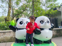 優(yōu)奇周歲禮服女寶寶夏季紅色旗袍嬰兒百天一周歲冠衣滿月衣服唐裝裙子 錦上添花裙【+發(fā)帶】100%棉 90 曬單實(shí)拍圖