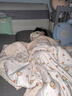 巴厘小豬女童秋衣秋褲2025新款家居服女寶寶純棉a類(lèi)內衣套裝春秋兒童睡衣 人參麋鹿 90 曬單實(shí)拍圖