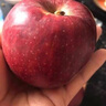 裕農叔【JD順豐速發(fā)】進(jìn)口蛇果水果當季糖心紅蛇粉面平果丑蘋(píng)果 1000g凈重裝（顆顆嚴選） 商超A+級大果220-260g 曬單實(shí)拍圖