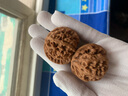 禎菩堂 文玩核桃原樹(shù)蛤蟆頭獅子頭元寶粗筋四座樓悶尖磨盤(pán)蘋(píng)果園白獅子 精選38-40mm蘋(píng)果園（一對） 曬單實(shí)拍圖