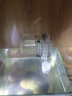 YEE小鱼缸过滤器循环水泵外置瀑布净水壁挂滴流盒过滤制氧一体机3w 实拍图