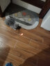 hoopet激光逗猫棒激光灯逗猫激光笔猫玩具自嗨解闷神器幼猫小猫布偶猫咪玩具用品红外线逗猫笔 爪印型图案紫光款(红灯 实拍图