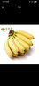 馬保果廣西小米蕉新鮮應當季水果banana芭蕉蘋(píng)果香蕉帝王粉焦 5斤優(yōu)選裝 曬單實(shí)拍圖