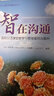 智在溝通 國際漢語(yǔ)課堂教學(xué)與管理案例及解析 曬單實(shí)拍圖