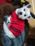 SLPC狗狗衣服冬季小型犬棉衣中型泰迪雪納瑞柯基衣服馬甲保暖寵物衣服 大紅色 XL（建議11-19斤狗狗） 曬單實(shí)拍圖