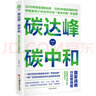 碳達峰碳中和：國家戰略行動(dòng)路線(xiàn)圖 袁志剛 循環(huán)經(jīng)濟 低碳經(jīng)濟 環(huán)境氣候 曬單實(shí)拍圖