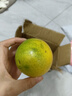 晨木鮮生云南冰糖橙 手剝甜橙水果 新鮮應季青皮橙子鮮果 1斤中果 曬單實(shí)拍圖