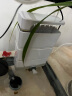 森森龟缸过滤器XN-600低水位鱼缸过滤泵水泵 3层过滤基础款(吸便+过滤) 实拍图