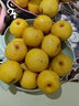 鮮姿遼寧南國梨南果梨香水梨醉梨酒香梨禮盒東北特產(chǎn)水果 8.5-9斤大果 暢享裝 曬單實(shí)拍圖
