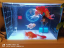 D&ASTUDIO小型魚缸靜音增氧泵家用養(yǎng)魚氧氣泵充氧泵打氧機(jī)水族箱增氧設(shè)備 單孔氣泵（2米氣管+氣泡盤+止水閥） 曬單實(shí)拍圖